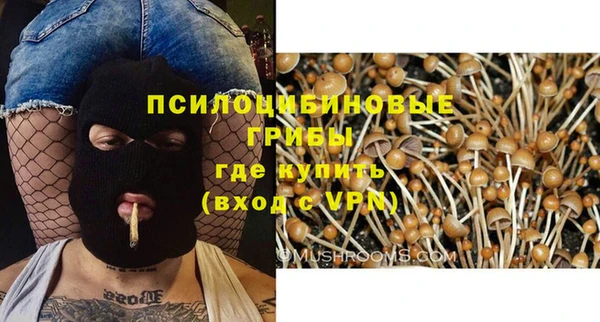МДПВ Куйбышев