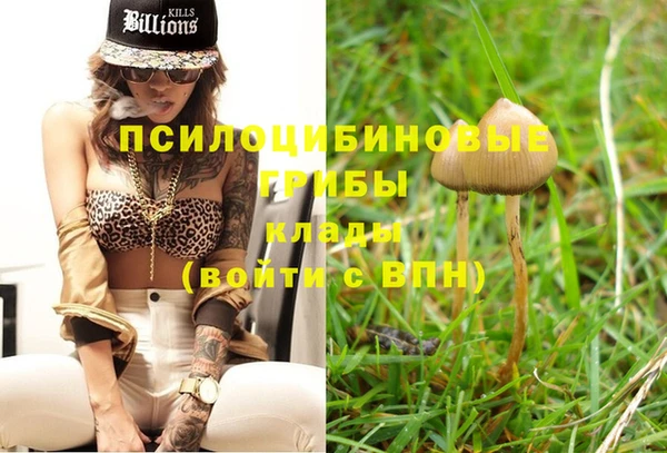 МДПВ Куйбышев